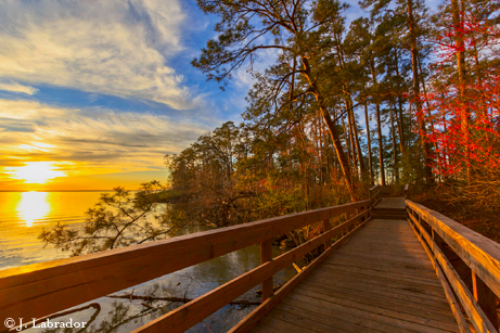 Lake Livingston